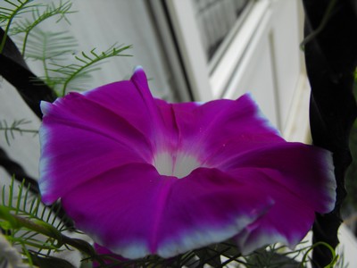 Name:  Image00001.jpg
Views: 1392
Size:  33.9 KB