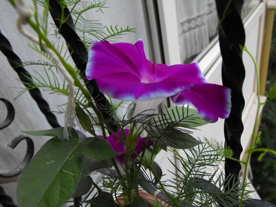 Name:  Image00003.jpg
Views: 1430
Size:  48.0 KB