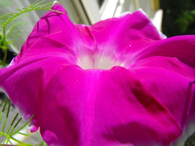 Name:  Image00004.jpg
Views: 1150
Size:  35.7 KB
