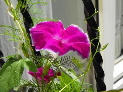 Name:  Image00005.jpg
Views: 1492
Size:  47.7 KB