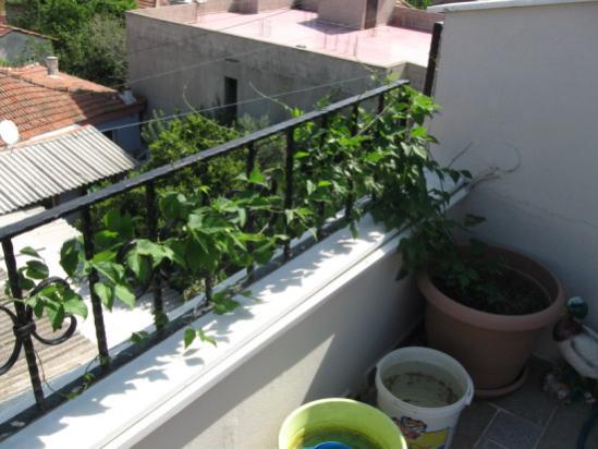 Name:  selluka3.jpg
Views: 1326
Size:  37.9 KB