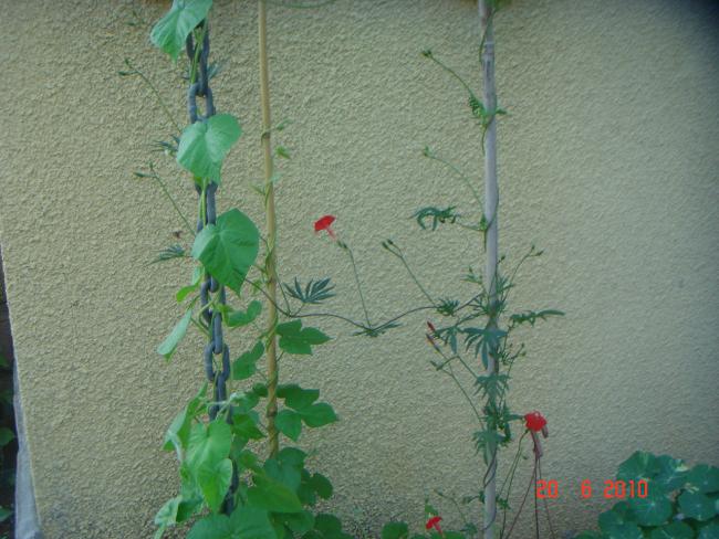 Name:  DSC00995.jpg
Views: 1047
Size:  55.7 KB