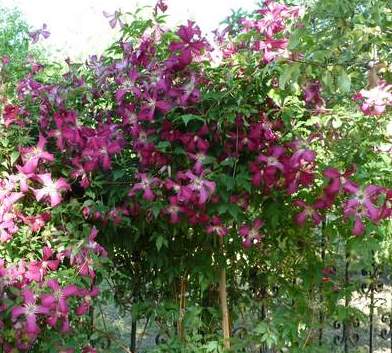 Name:  P1000107.JPG
Views: 1251
Size:  60.4 KB