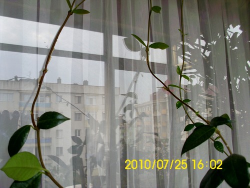 Name:  2.jpg
Views: 881
Size:  53.4 KB