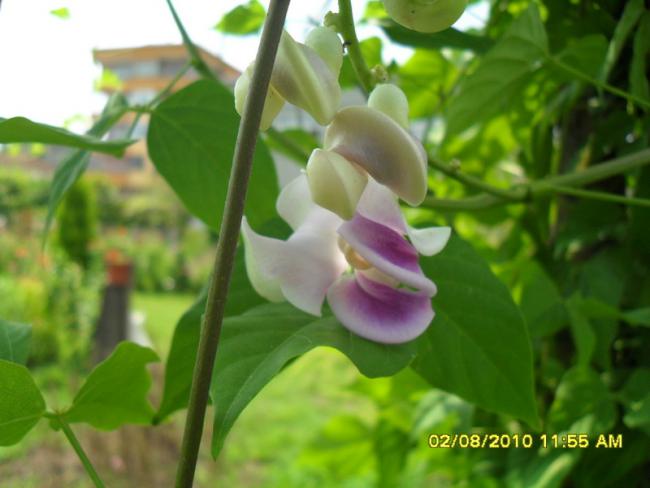 Name:  001.jpg
Views: 1099
Size:  35.4 KB