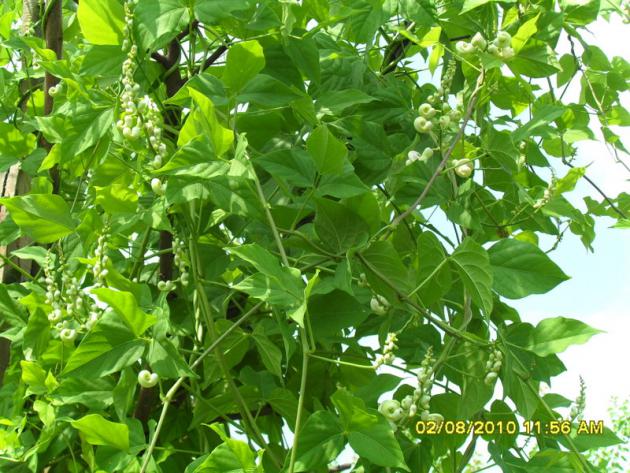 Name:  003.jpg
Views: 1029
Size:  71.7 KB