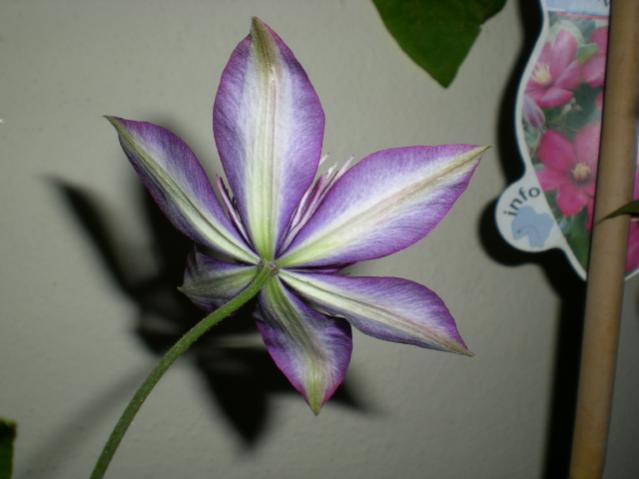 Name:  DSCN9506.jpg
Views: 1415
Size:  28.2 KB