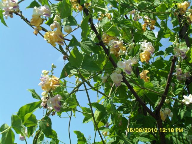Name:  003.jpg
Views: 1003
Size:  70.9 KB