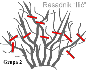 Name:  grup 2.gif
Views: 1357
Size:  7.5 KB