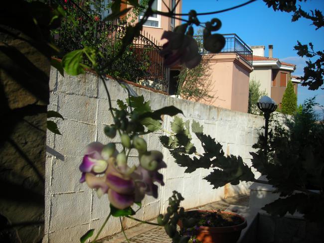 Name:  DSCN3232.jpg
Views: 897
Size:  63.6 KB