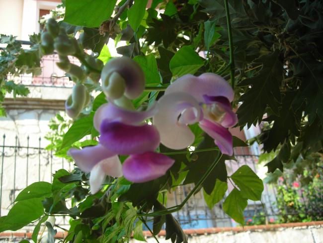 Name:  DSCN3231.jpg
Views: 931
Size:  54.6 KB