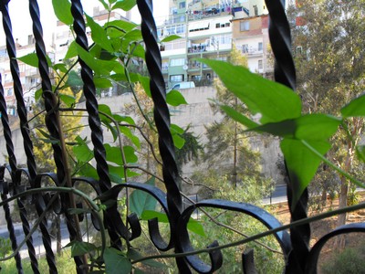 Name:  Image00004.jpg
Views: 919
Size:  61.0 KB