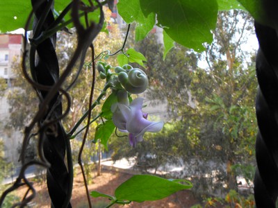 Name:  Image00001.jpg
Views: 900
Size:  49.1 KB