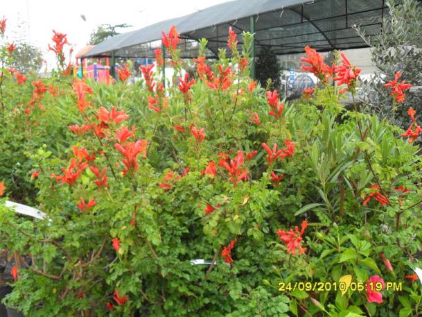 Name:  034.jpg
Views: 4616
Size:  72.1 KB