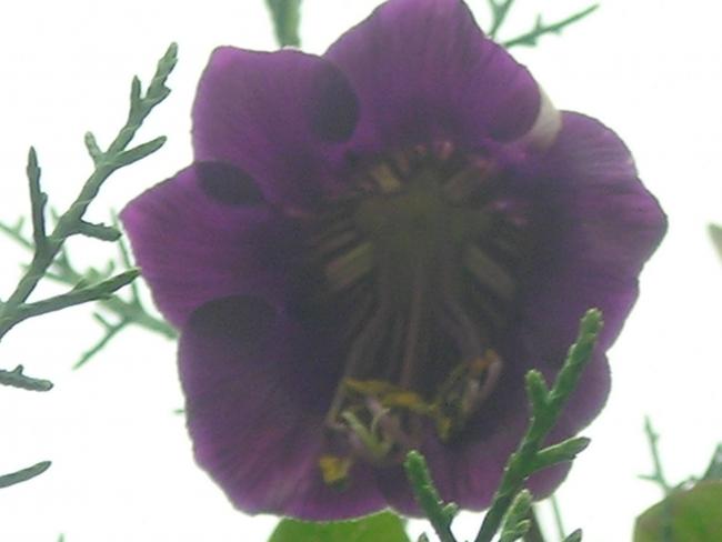 Name:  DSCN3468.jpg
Views: 744
Size:  25.1 KB