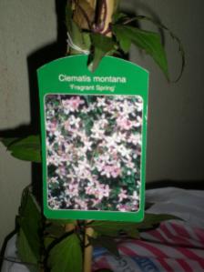 Name:  DSCN9809.jpg
Views: 880
Size:  12.0 KB