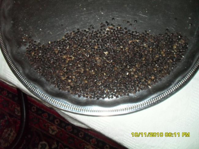 Name:  061.jpg
Views: 790
Size:  52.0 KB