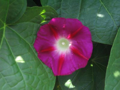 Name:  6_Agustos 046.JPG
Views: 2943
Size:  51.6 KB