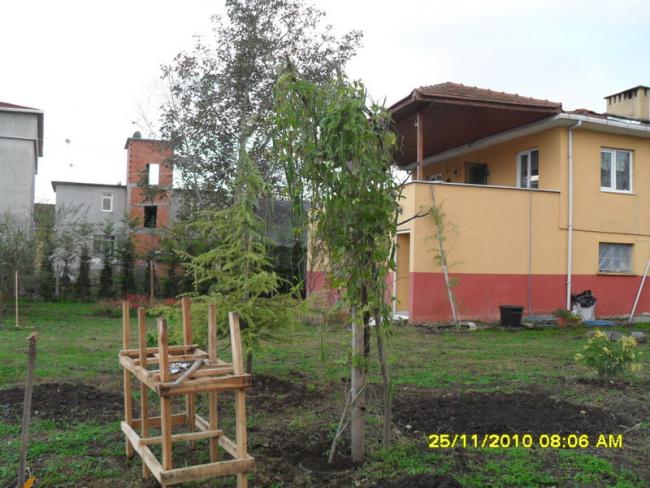 Name:  017.jpg
Views: 1322
Size:  58.0 KB