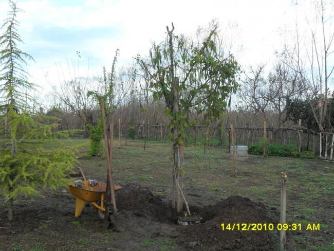 Name:  003.jpg
Views: 1156
Size:  59.8 KB