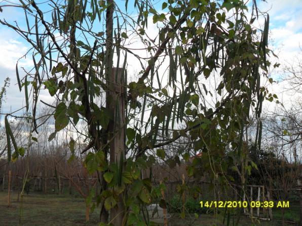 Name:  013.jpg
Views: 1128
Size:  72.2 KB