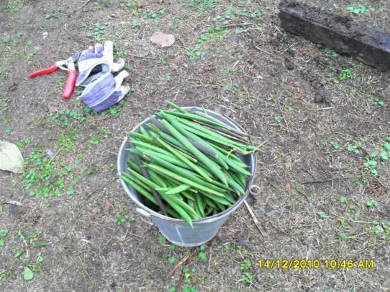Name:  036.jpg
Views: 1105
Size:  72.8 KB