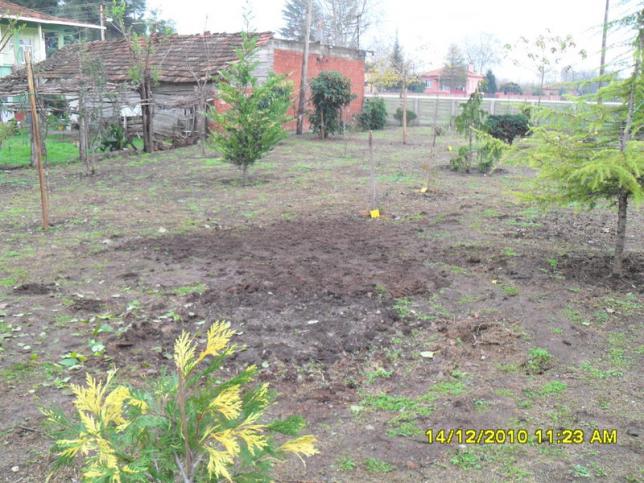 Name:  045.jpg
Views: 1099
Size:  70.5 KB