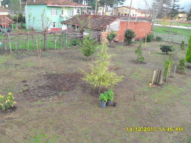 Name:  048.jpg
Views: 1100
Size:  67.6 KB