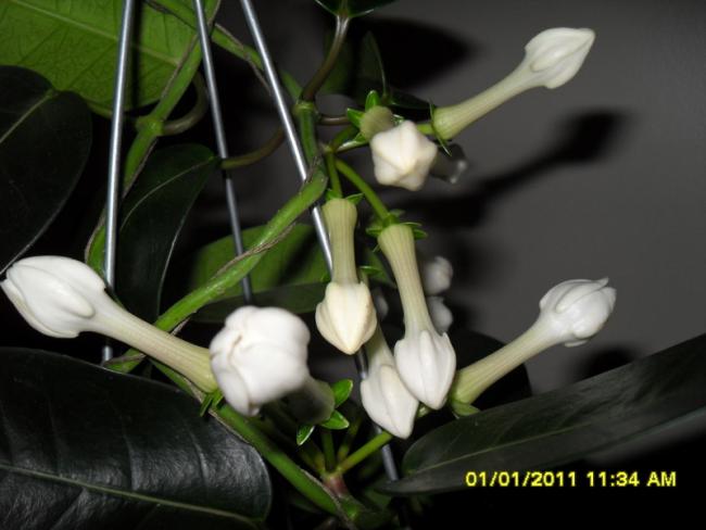 Name:  024.jpg
Views: 2550
Size:  34.2 KB