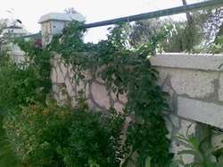 Name:  sellukasr.jpg
Views: 1847
Size:  53.2 KB