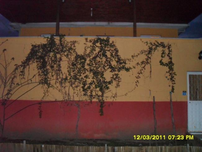Name:  035.jpg
Views: 650
Size:  39.0 KB