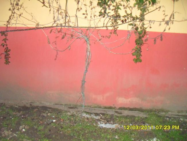 Name:  037.jpg
Views: 660
Size:  42.7 KB