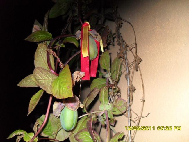 Name:  034.jpg
Views: 642
Size:  43.1 KB