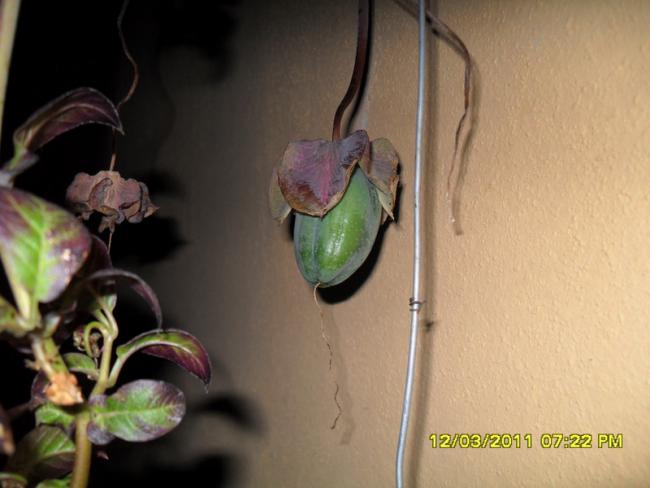 Name:  033.jpg
Views: 667
Size:  34.2 KB