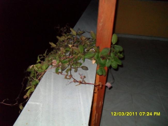 Name:  040.jpg
Views: 630
Size:  27.6 KB