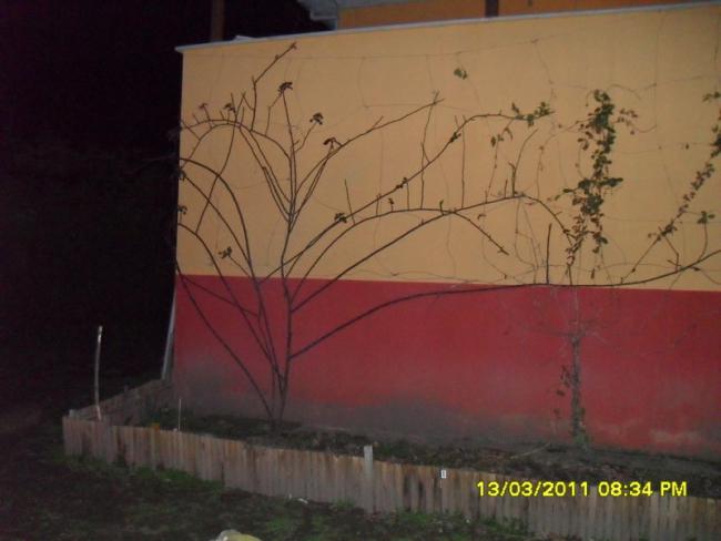 Name:  040.jpg
Views: 640
Size:  31.2 KB