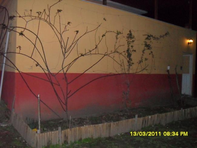 Name:  041.jpg
Views: 625
Size:  34.7 KB