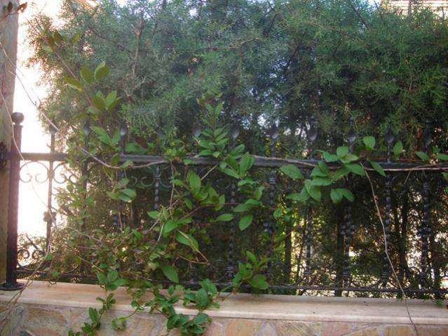 Name:  DSCN4914.jpg
Views: 2036
Size:  65.0 KB