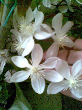 Name:  118.jpg
Views: 946
Size:  20.2 KB