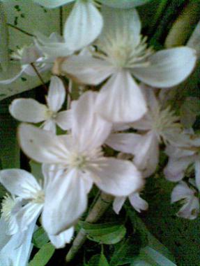 Name:  119.jpg
Views: 691
Size:  18.8 KB