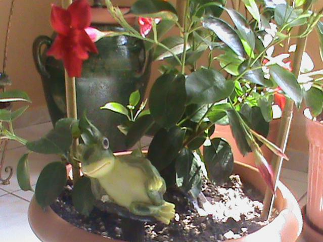 Name:  DSC00295.jpg
Views: 2288
Size:  52.0 KB