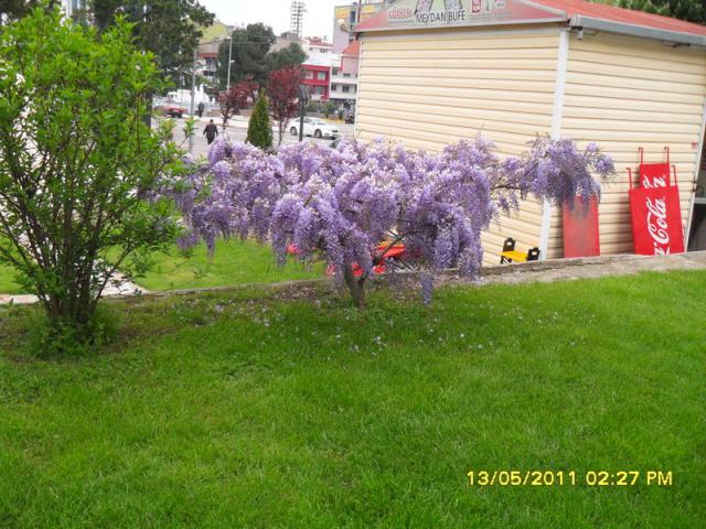 Name:  019.jpg
Views: 1459
Size:  70.0 KB