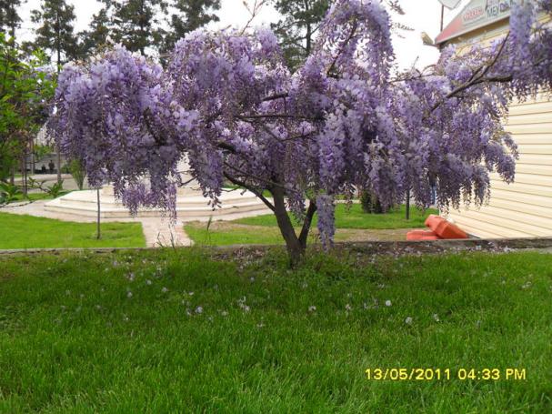 Name:  044.jpg
Views: 1495
Size:  70.6 KB