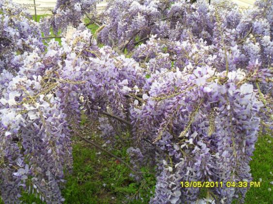 Name:  045.jpg
Views: 1502
Size:  73.0 KB