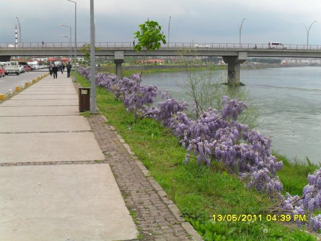 Name:  053.jpg
Views: 1424
Size:  53.2 KB