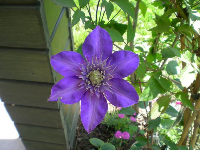 Name:  DSCN9663.jpg
Views: 714
Size:  50.9 KB