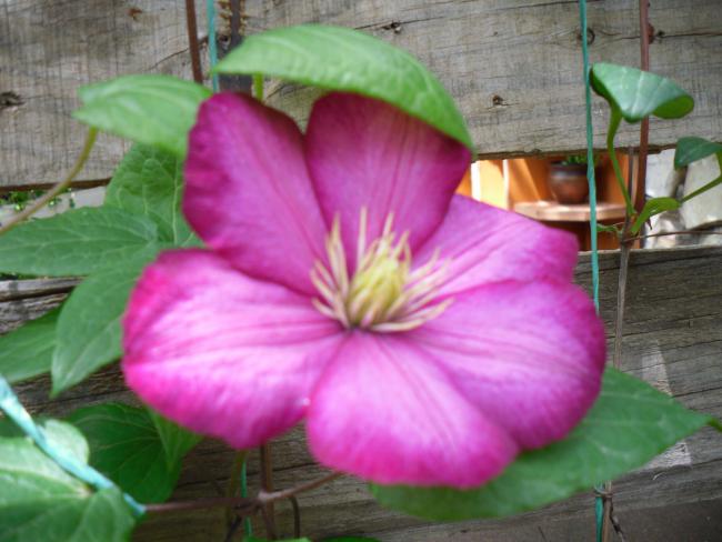 Name:  SDC12005 copy.jpg
Views: 919
Size:  42.6 KB