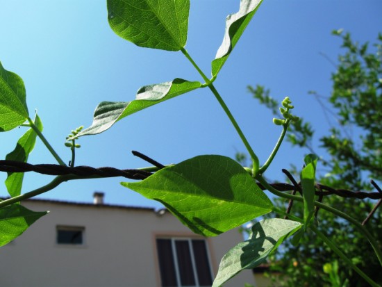 Name:  selluka12.jpg
Views: 1312
Size:  51.4 KB