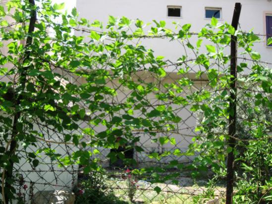 Name:  selluka13.jpg
Views: 1314
Size:  63.6 KB