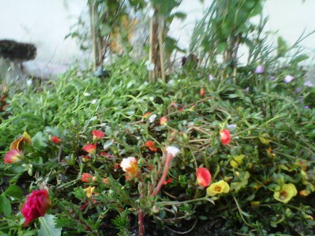 Name:  015.jpg
Views: 971
Size:  53.4 KB